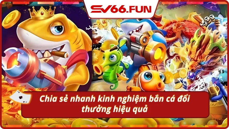 Hướng dẫn nhanh bí kíp chơi hiệu quả tại SV66