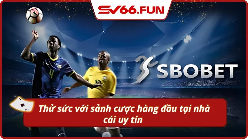 Gợi ý cách truy cập theo dõi và đặt cược vào sảnh SBOBET