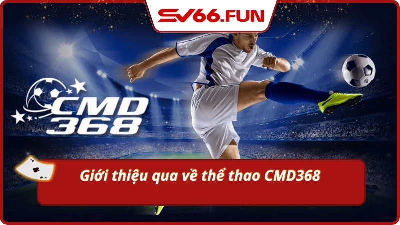 Khái quát về sảnh cược hấp dẫn hàng đầu tại SV66