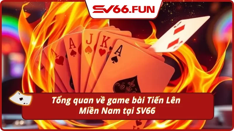 Thông tin cơ bản về game bài Tiến Lên Miền Nam