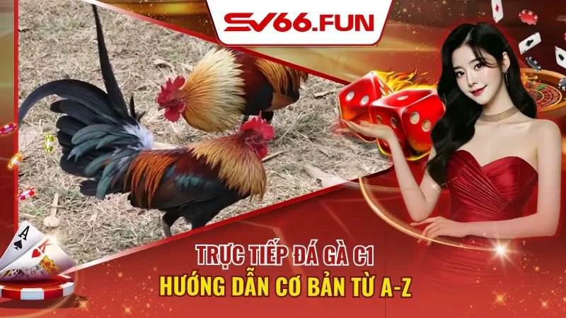 Trực Tiếp Đá Gà C1