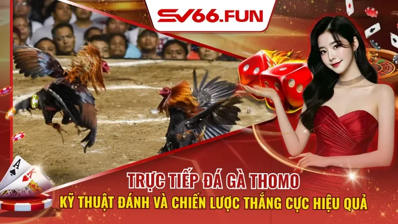 Trực Tiếp Đá Gà Thomo